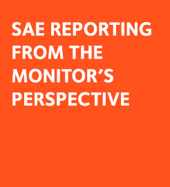 sae reporting monitor perspective